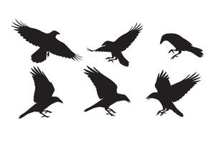 Artistic Crow Silhouette Set for Unique Concepts vector