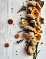 Mushrooms and other dried foods are arranged on a white surface photo