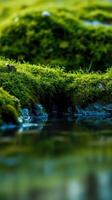 A small stream with green moss growing on the rocks photo