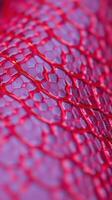 A close up of a red snake skin photo