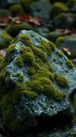 A rock covered in moss photo