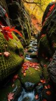 A stream flowing through a rocky area with red leaves photo