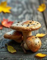 A close up of mushrooms on a wooden table photo