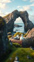 A seagull sits on a rock near a rock arch photo