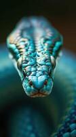 A close up of a blue snake's head photo