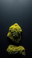 A moss covered rock sitting on a black surface photo