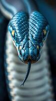A close up of a blue snake with its mouth open photo