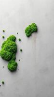 A green moss covered map on a white surface photo
