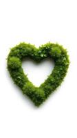 A heart shaped moss on a white background photo