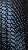 A close up of a black snake skin photo