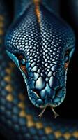 A close up of a blue snake with its head turned to the side photo