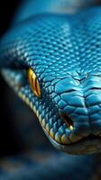 A close up of a blue snake's head photo