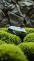 A rock sitting on top of a green moss covered area photo