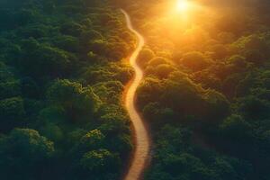 Serene Forest Pathway at Sunset Illuminated by Warm Sunlight photo