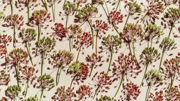 Autumn Pattern of dill flowers on light beige textured paper, botanical banner flowering dill, spicy herb fennel, shadows from sunlight, flat lay of natural plant dill seeds, food patterns photo