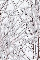 Winter branches trees snow covered, white brown color nature, detailed close-up frost branches with delicate ice crystals as natural scenic pattern, wintry frozen background, serene tranquil mood photo