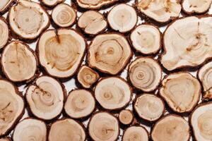 Wooden tree trunk slices pattern, view of many round cuts of wooden texture with natural tree rings of juniper, eco textures earthy tones, circular growth patterns and organic beauty of materials photo