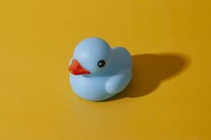 Blue rubber duck toy from above photo