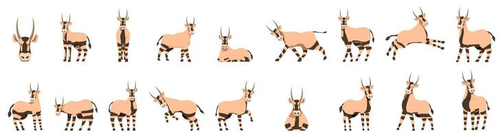 Arabian oryx icons set. Set of oryx gazella in different poses, isolated on white background vector