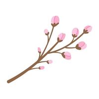 Sakura branch with unopened buds. illustration. vector