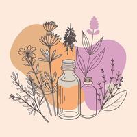 Hand-Drawn Bottles with Herbs and Flowers in Soft Pastel Colors vector
