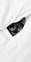 Black cat peeking out from under white blanket photo