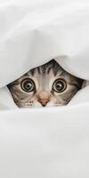 Cat peeking out from under white blanket in cozy setting photo