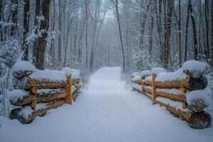 Snow covered log fence opening onto a snowy forest path photo