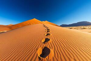 Footprints leading to dune summit in namib desert, namibia photo