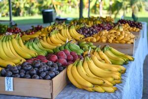 Farmers market displaying fresh tropical fruits in crates photo