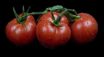 Fresh and ripe tomatoes with drops of water on a black background photo