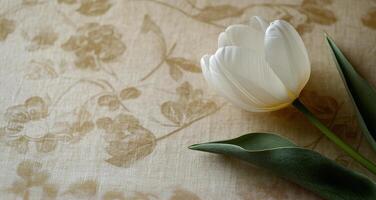 A white tulip on a floral patterned background photo