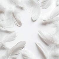White feather background with copy space photo