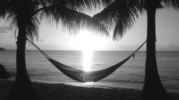 A hammock is hanging between two palm trees at sunset photo