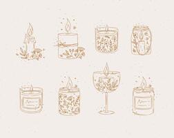 Candles with branches and leaves collection drawing on grey background vector