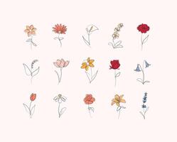 Flowers icons set rose, tulip, bell, camellia, daffodil, daisy, calla, lavender, lily, peony, poppy, wallflower drawing in linear style with black and color on white background vector