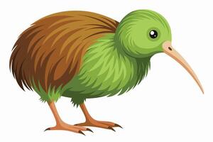 Featherless Wonder The Kiwi Bird vector