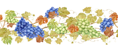 Seamless border of intertwined grape branches. Horizontal pattern of grapevine, foliage, blue and green berries. Watercolor illustration in retro style. Clipart for wine label design in retro style. png