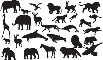 A variety of animals silhouettes on a white background vector