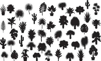 Various types of plants in pots and on a white background vector