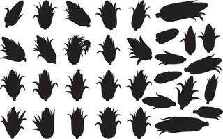 Corn silhouettes set of various shapes and sizes vector
