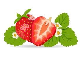 Fresh Strawberry Fruit Icon Illustration on White Background vector