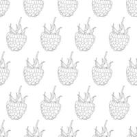Raspberry berry close-up. Doodle style. Seamless pattern. vector