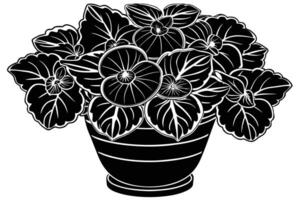 A Flowering Plant in a Pot vector