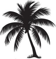 Coconut Plum Tree Silhouette Digital Palm Tree Design vector