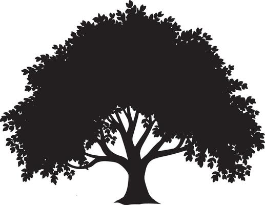 Coconut Plum Tree Silhouette Black Palm Tree Image
