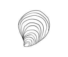 The shell is drawn in a line style. Sea, coast, beach. Hand drawn illustration. vector