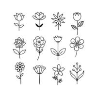 A set of flowers and leaves in black and white vector