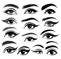 Set of female eyes, eyelashes, eyebrows. Different types of eyelashes. Set of women's eyes. Different types of eyes, different female eyes with eyelashes. Set of female eyes. Different types of eyes. vector