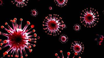 Stunning animation of red virus particles floating against a black background. Ideal for medical, science, or educational projects. video